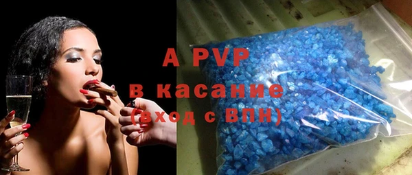 эйфоретик Бикин